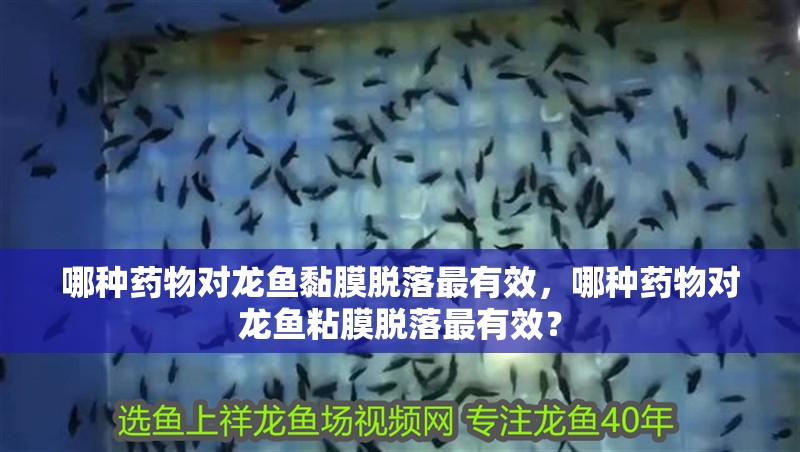 哪種藥物對龍魚黏膜脫落最有效，哪種藥物對龍魚粘膜脫落最有效？