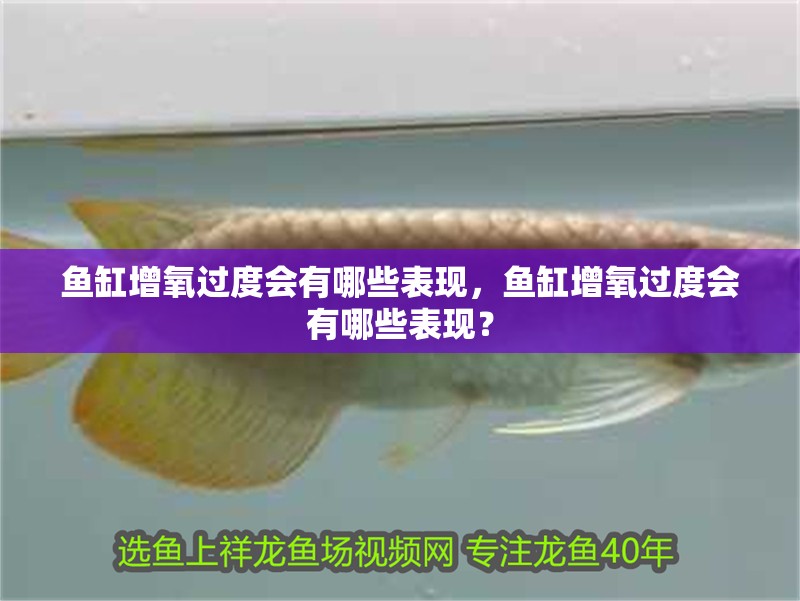 魚缸增氧過度會有哪些表現(xiàn)，魚缸增氧過度會有哪些表現(xiàn)？