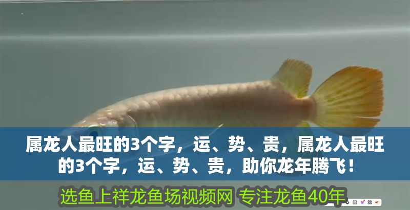 屬龍人最旺的3個(gè)字，運(yùn)、勢、貴，屬龍人最旺的3個(gè)字，運(yùn)、勢、貴，助你龍年騰飛！