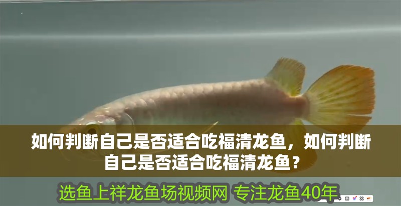 如何判斷自己是否適合吃<strong><mark>福清</mark></strong>龍魚，如何判斷自己是否適合吃<strong><mark>福清</mark></strong>龍魚？