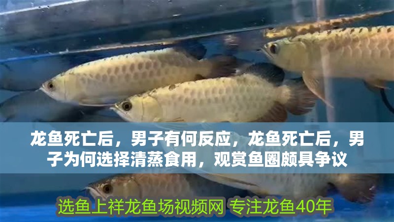 龍魚(yú)死亡后，男子有何反應(yīng)，龍魚(yú)死亡后，男子為何選擇清蒸食用，觀賞魚(yú)圈頗具爭(zhēng)議