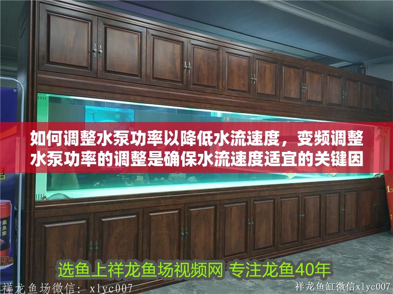 如何調整水泵功率以降低水流速度，變頻調整水泵功率的調整是確保水流速度適宜的關鍵因素