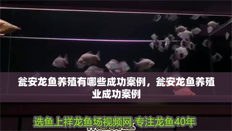 甕安龍魚養(yǎng)殖有哪些成功案例，甕安龍魚養(yǎng)殖業(yè)成功案例