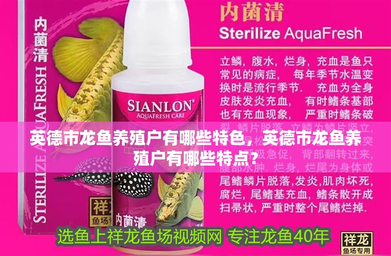 英德市龍魚養(yǎng)殖戶有哪些特色，英德市龍魚養(yǎng)殖戶有哪些特點(diǎn)？