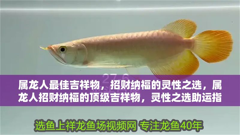 屬龍人最佳吉祥物，招財納福的靈性之選，屬龍人招財納福的頂級吉祥物，靈性之選助運指南