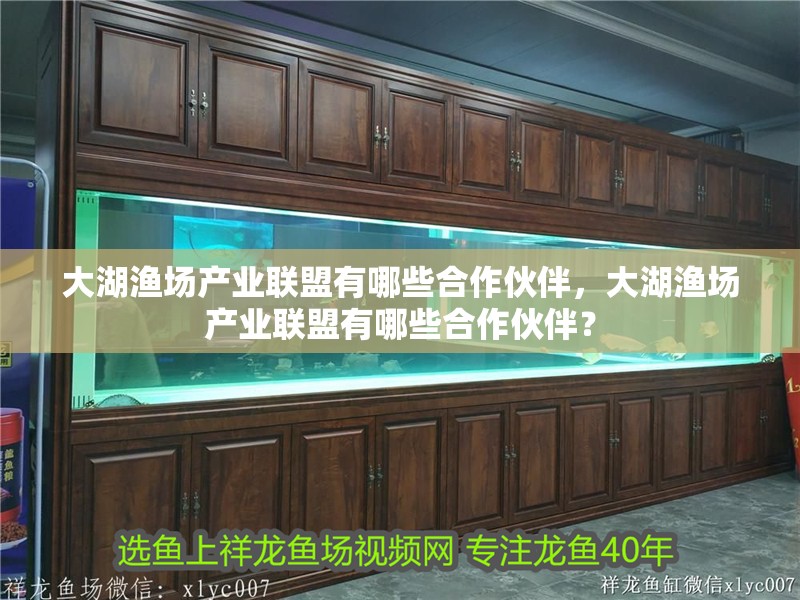 大湖漁場產(chǎn)業(yè)聯(lián)盟有哪些<strong><mark>合作</mark></strong>伙伴，大湖漁場產(chǎn)業(yè)聯(lián)盟有哪些<strong><mark>合作</mark></strong>伙伴？