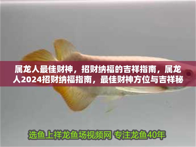 屬龍人最佳財神，招財納福的吉祥指南，屬龍人2024招財納福指南，最佳財神方位與吉祥秘訣