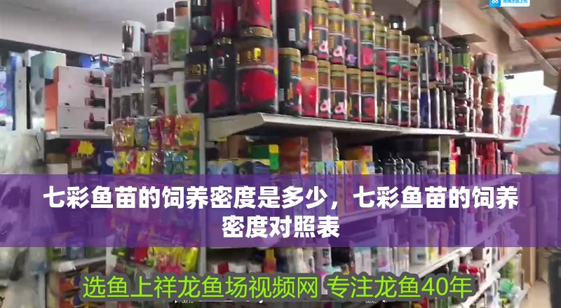 七彩魚苗的飼養(yǎng)密度是多少，七彩魚苗的飼養(yǎng)密度對照表