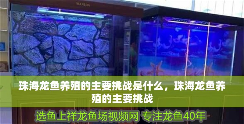 <strong><mark>珠海</mark></strong>龍魚養殖的主要挑戰是什么，<strong><mark>珠海</mark></strong>龍魚養殖的主要挑戰