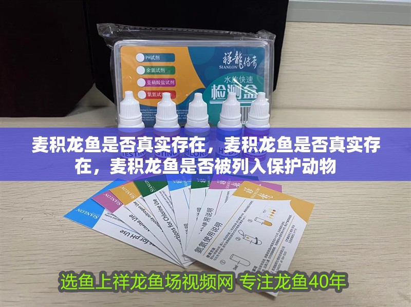 麥積龍魚是否真實存在，麥積龍魚是否真實存在，麥積龍魚是否被列入保護動物