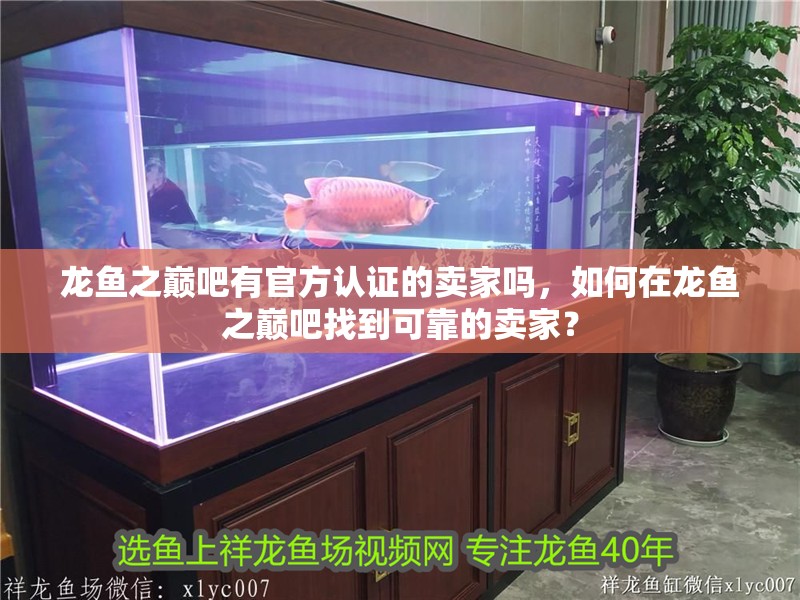 龍魚之巔吧有官方認證的賣家嗎，如何在龍魚之巔吧找到可靠的賣家？