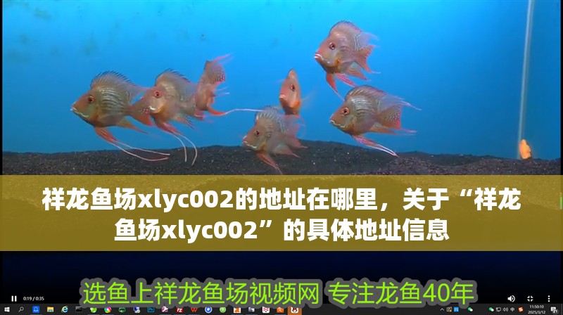 祥龍魚場xlyc002的地址在哪里，關(guān)于“祥龍魚場xlyc002”的具體地址信息