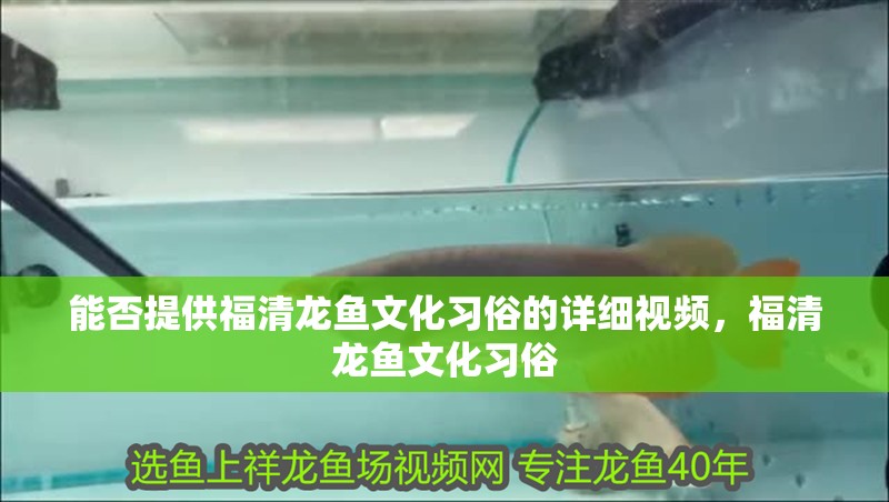 能否提供福清龍魚文化習俗的詳細視頻，福清龍魚文化習俗