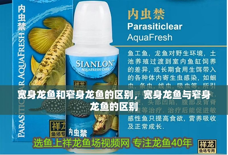 寬身龍魚和窄身龍魚的區別，寬身龍魚與窄身龍魚的區別