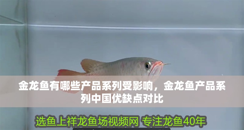 金龍魚有哪些產品系列受影響，金龍魚產品系列中國優缺點對比