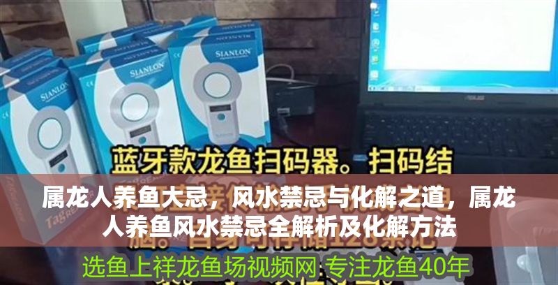 屬龍人養魚大忌，風水禁忌與化解之道，屬龍人養魚風水禁忌全解析及化解方法