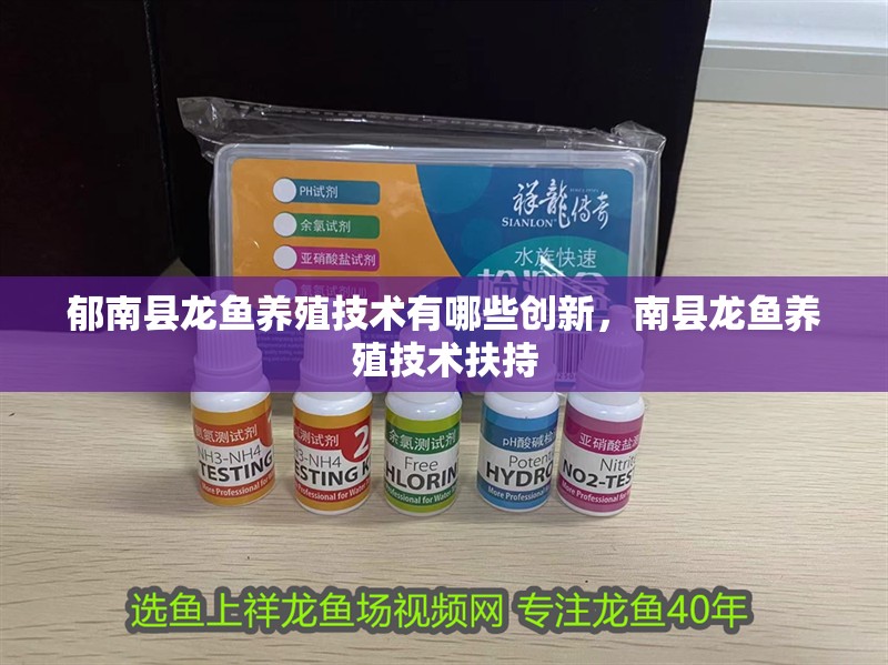<strong><mark>郁南</mark></strong>縣龍魚養殖技術有哪些創新，南縣龍魚養殖技術扶持
