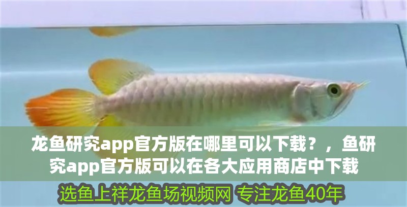 龍魚研究app官方版在哪里可以下載？，魚研究app官方版可以在各大應(yīng)用商店中下載