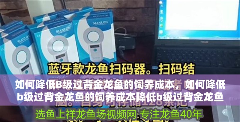 如何降低B級過背金龍魚的飼養(yǎng)成本，如何降低b級過背金龍魚的飼養(yǎng)成本降低b級過背金龍魚的飼養(yǎng)成本