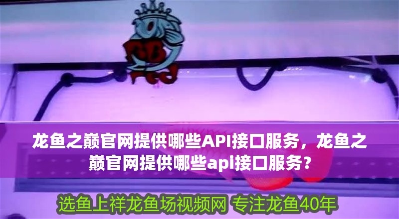 龍魚(yú)之巔官網(wǎng)提供哪些API接口服務(wù)，龍魚(yú)之巔官網(wǎng)提供哪些api接口服務(wù)？