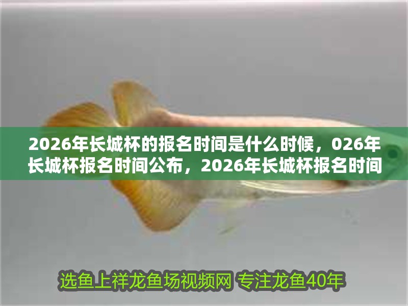 2026年長城杯的報名時間是什么時候，026年長城杯報名時間公布，2026年長城杯報名時間已明確