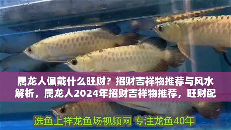 屬龍人佩戴什么旺財(cái)？招財(cái)吉祥物推薦與風(fēng)水解析，屬龍人2024年招財(cái)吉祥物推薦，旺財(cái)配飾與風(fēng)水布局全解析