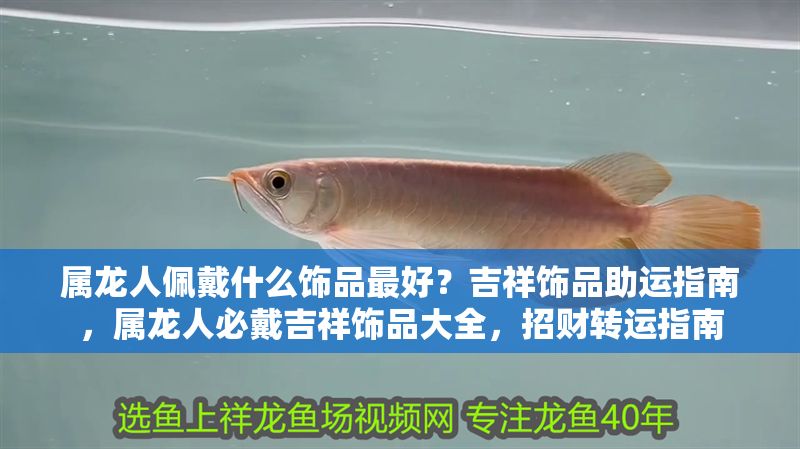 屬龍人佩戴什么飾品最好？吉祥飾品助運(yùn)指南，屬龍人必戴吉祥飾品大全，招財(cái)轉(zhuǎn)運(yùn)指南 屬龍人佩戴什么飾品最好？吉祥飾品助運(yùn)指南，屬龍人必戴吉祥飾品大全，招財(cái)轉(zhuǎn)運(yùn)指南 龍魚百科 第1張