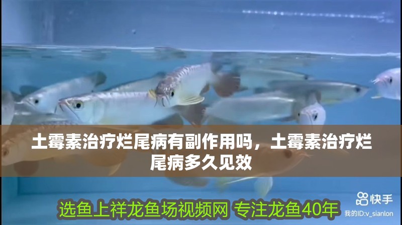 土霉素治療爛尾病有副作用嗎，土霉素治療爛尾病多久見效