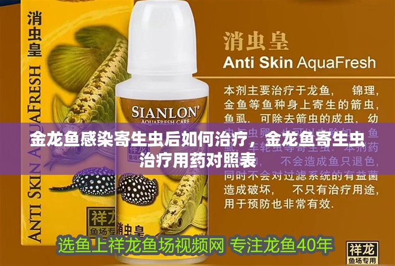 金龍魚感染寄生蟲后如何治療，金龍魚寄生蟲治療用藥對照表