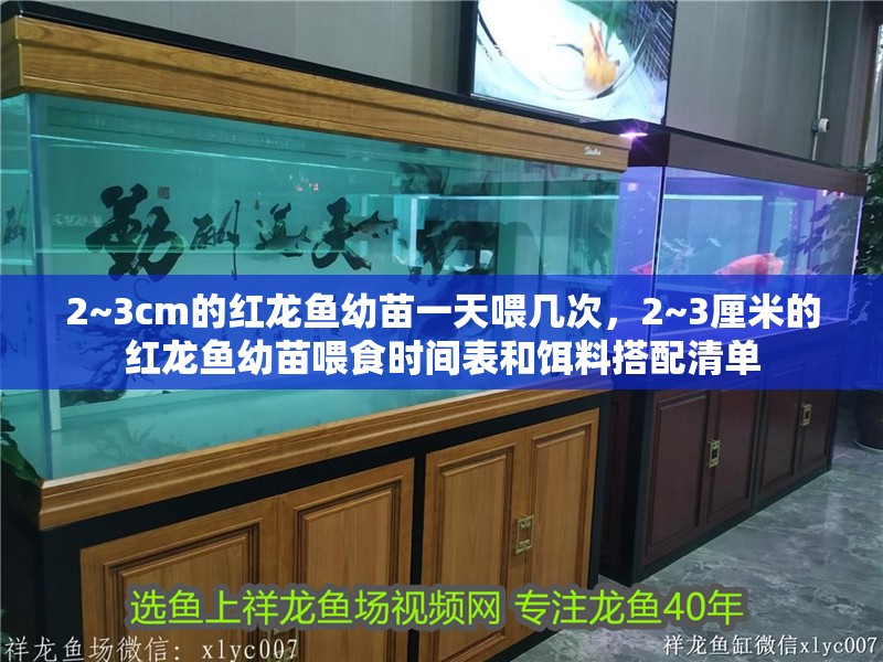 2~3cm的紅龍魚幼苗一天喂幾次，2~3厘米的紅龍魚幼苗喂食時間表和餌料搭配清單