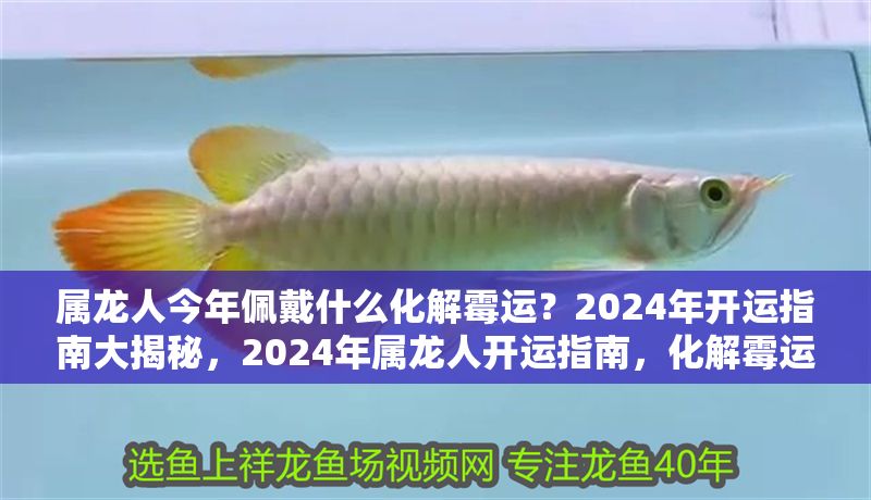 屬龍人今年佩戴什么化解霉運？2024年開運指南大揭秘，2024年屬龍人開運指南，化解霉運必備佩戴飾品大揭秘