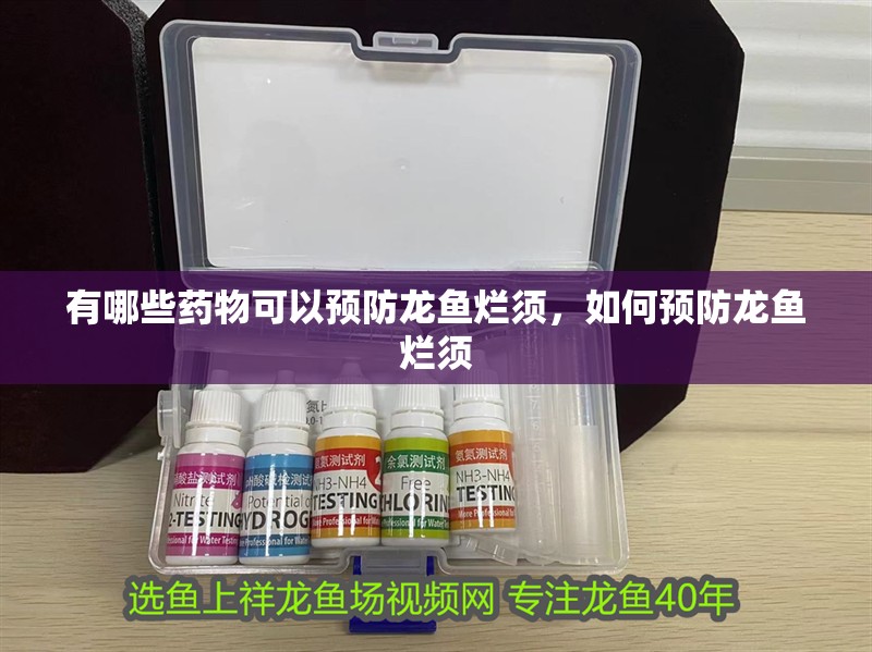 有哪些藥物可以預防龍魚爛須，如何預防龍魚爛須