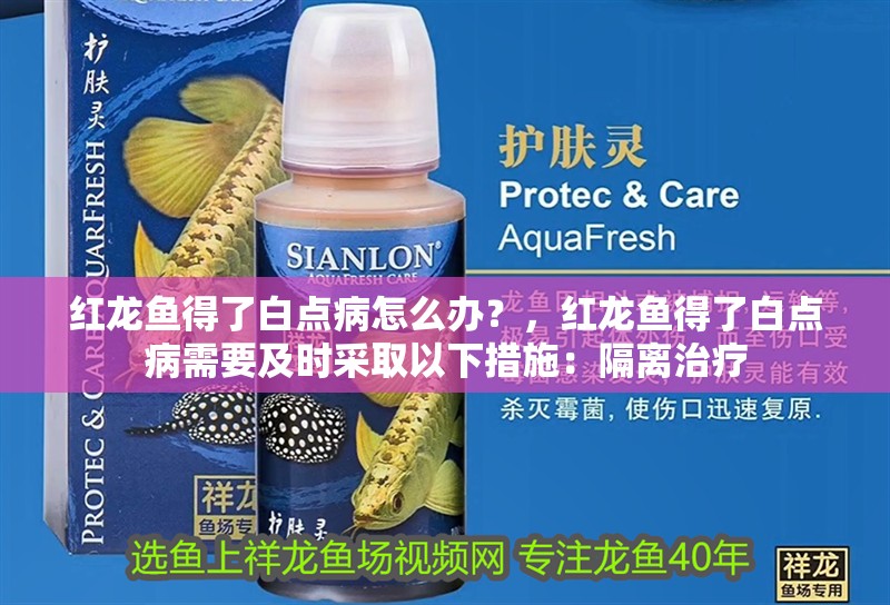 紅龍魚得了白點病怎么辦？，紅龍魚得了白點病需要及時采取以下措施：隔離治療