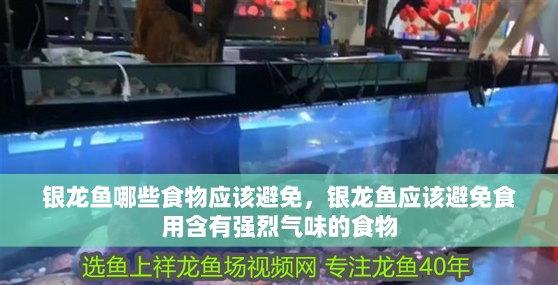 銀龍魚(yú)哪些食物應(yīng)該避免，銀龍魚(yú)應(yīng)該避免食用含有強(qiáng)烈氣味的食物