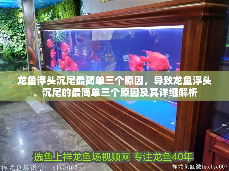 龍魚浮頭沉尾最簡單三個(gè)原因，導(dǎo)致龍魚浮頭、沉尾的最簡單三個(gè)原因及其詳細(xì)解析