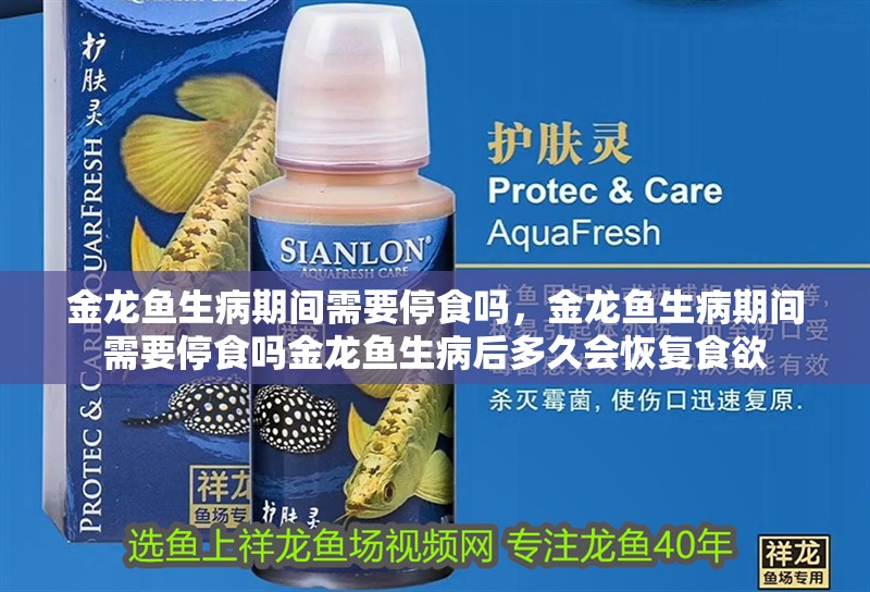 金龍魚生病期間需要停食嗎，金龍魚生病期間需要停食嗎金龍魚生病后多久會(huì)恢復(fù)食欲