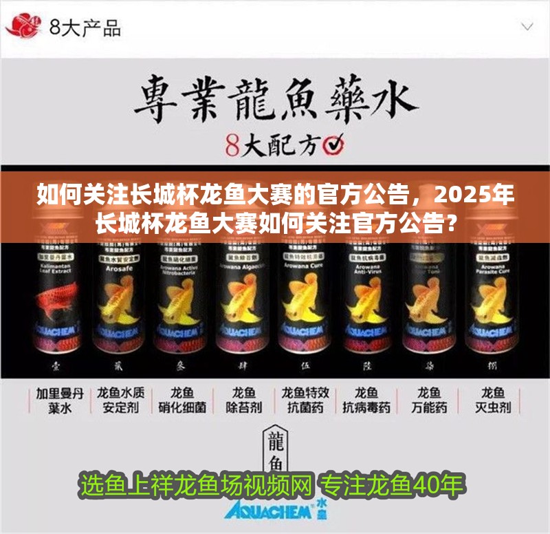 如何關注長城杯龍魚大賽的官方公告，2025年長城杯龍魚大賽如何關注官方公告？