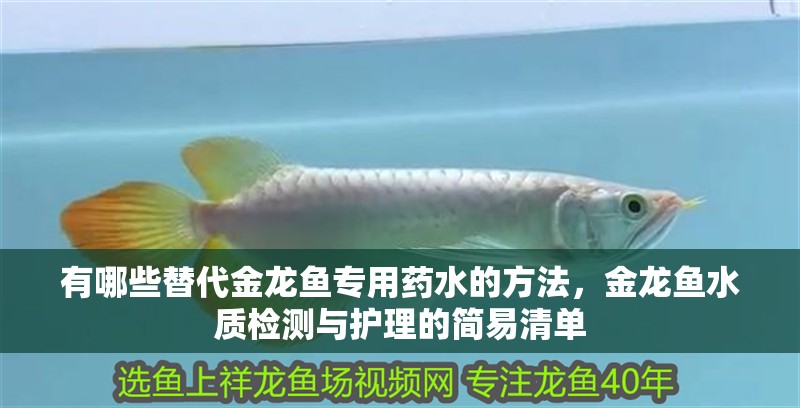 有哪些替代金龍魚專用藥水的方法，金龍魚水質檢測與護理的簡易清單