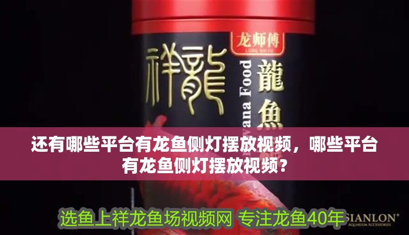 還有哪些平臺有龍魚側(cè)燈擺放視頻，哪些平臺有龍魚側(cè)燈擺放視頻？
