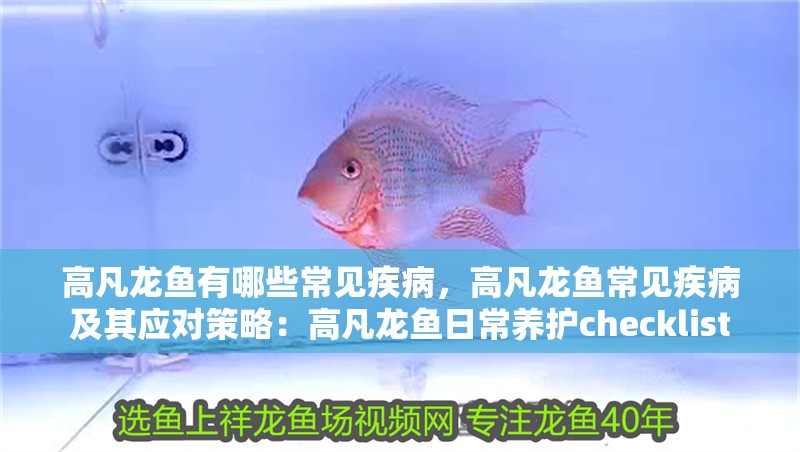 高凡龍魚有哪些常見疾病，高凡龍魚常見疾病及其應對策略：高凡龍魚日常養護checklist