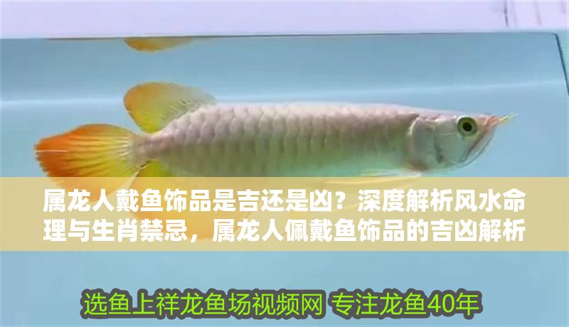 屬龍人戴魚飾品是吉還是兇？深度解析風水命理與生肖禁忌，屬龍人佩戴魚飾品的吉兇解析，風水命理與生肖禁忌全揭秘
