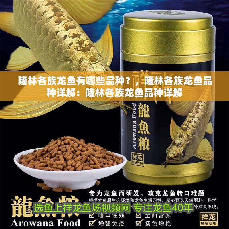 隆林各族龍魚有哪些品種？，隆林各族龍魚品種詳解：隆林各族龍魚品種詳解