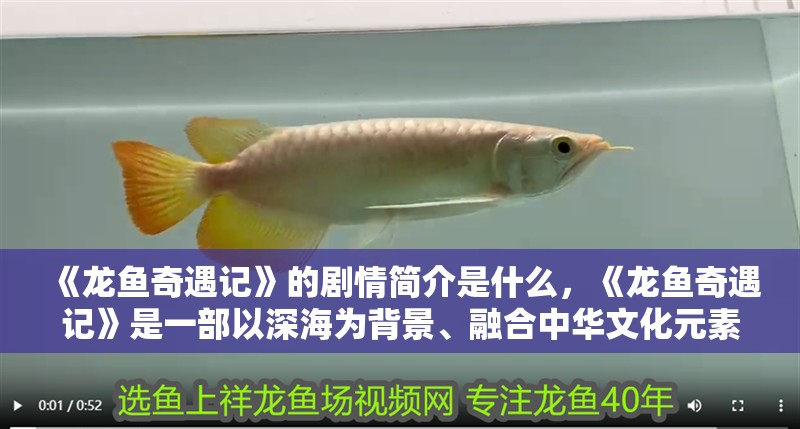 《龍魚奇遇記》的劇情簡介是什么，《龍魚奇遇記》是一部以深海為背景、融合中華文化元素與水下沉浸式演藝作品