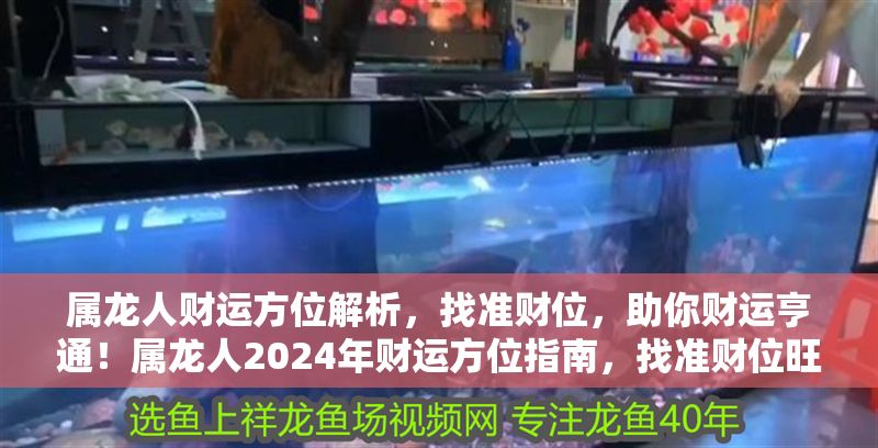 屬龍人財運方位解析，找準財位，助你財運亨通！屬龍人2024年財運方位指南，找準財位旺整年