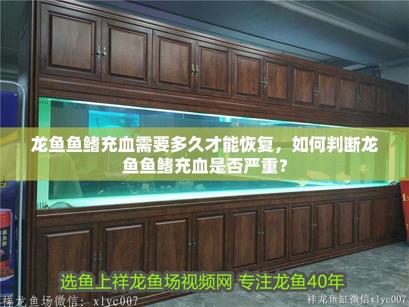 龍魚魚鰭充血需要多久才能恢復，如何判斷龍魚魚鰭充血是否嚴重？