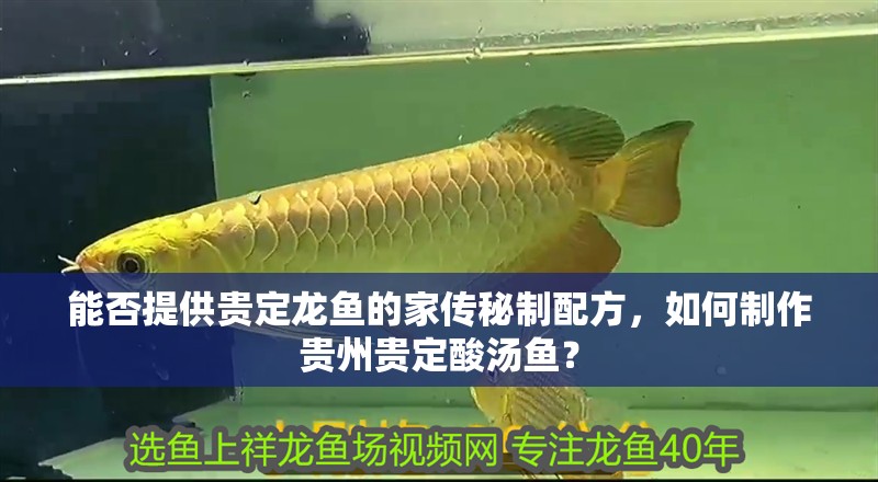能否提供貴定龍魚的家傳秘制配方，如何制作貴州貴定酸湯魚？