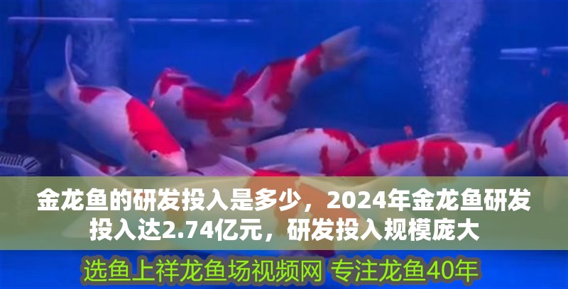金龍魚的研發投入是多少，2024年金龍魚研發投入達2.74億元，研發投入規模龐大