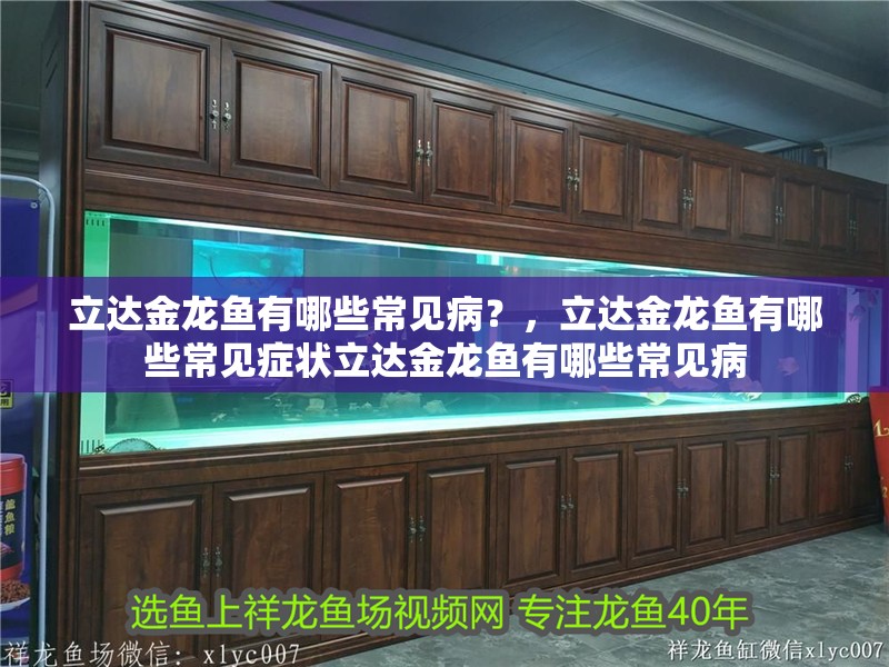 立達金龍魚有哪些常見病？，立達金龍魚有哪些常見癥狀立達金龍魚有哪些常見病