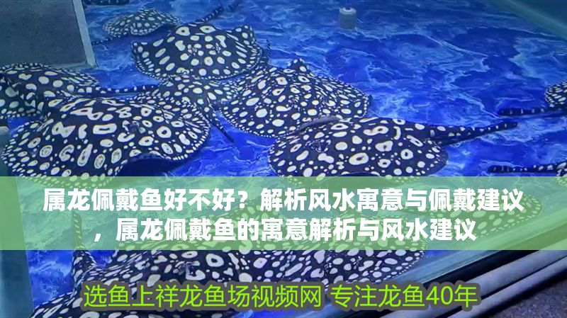 屬龍佩戴魚好不好？解析風水寓意與佩戴建議，屬龍佩戴魚的寓意解析與風水建議
