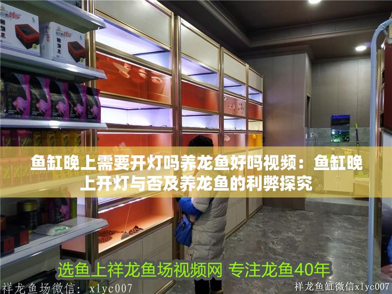 魚缸晚上需要開燈嗎養(yǎng)龍魚好嗎視頻：魚缸晚上開燈與否及養(yǎng)龍魚的利弊探究